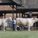 Hódmezővásárhely 2018