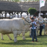 Hódmezővásárhely 2018
