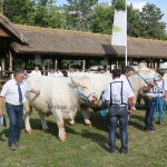 Hódmezővásárhely 2018