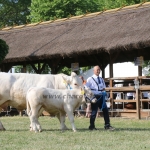 Hódmezővásárhely 2018