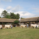 Hódmezővásárhely 2018