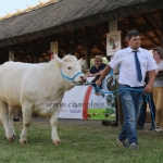 Hódmezővásárhely 2018