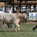 Hódmezővásárhely 2018