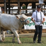 Hódmezővásárhely 2018