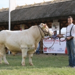 Hódmezővásárhely 2018