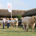 Hódmezővásárhely 2018