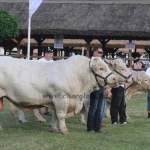 Hódmezővásárhely 2018