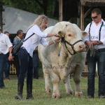 Hódmezővásárhely 2018