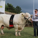 Hódmezővásárhely 2018