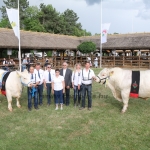 Hódmezővásárhely 2018