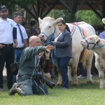 Hódmezővásárhely 2018