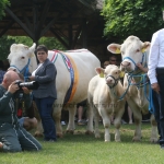 Hódmezővásárhely 2018