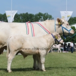 Hódmezővásárhely 2018