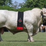 Hódmezővásárhely 2018