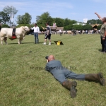 Hódmezővásárhely 2018