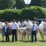 Hódmezővásárhely 2018