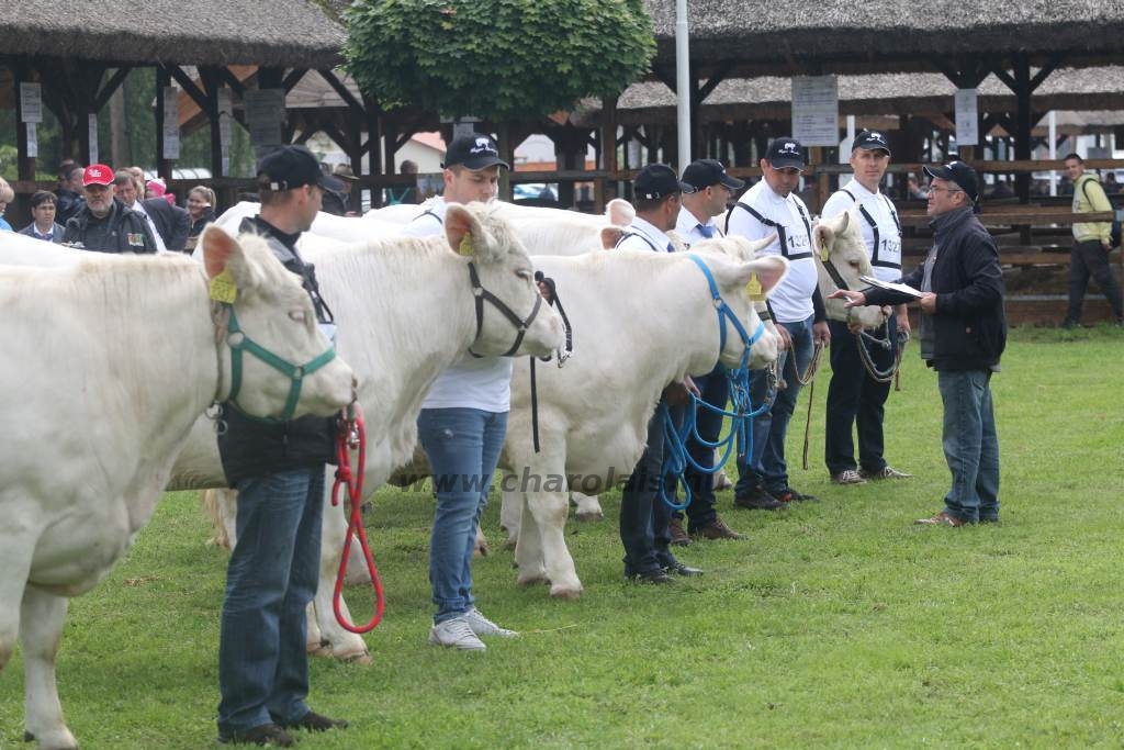 Hódmezővásárhely 2019