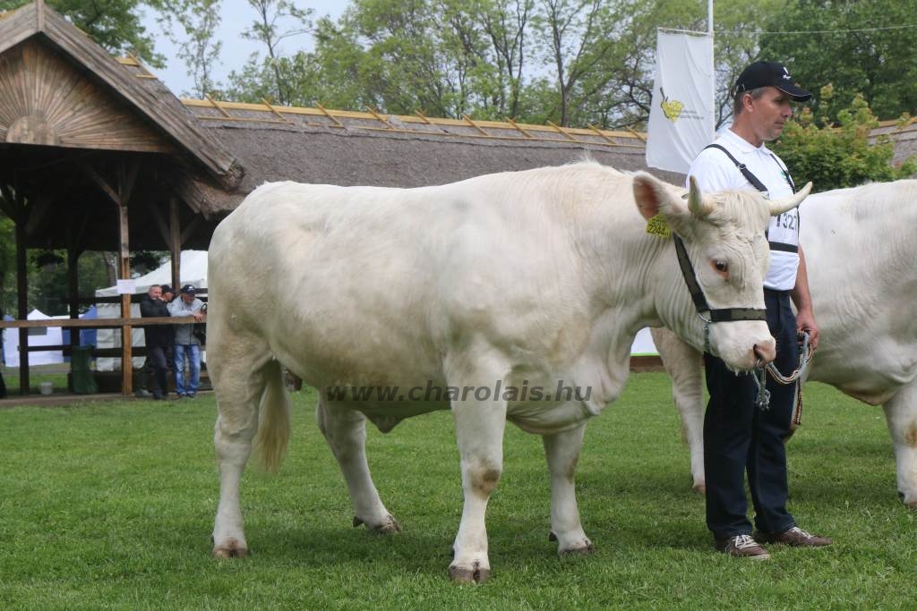 Hódmezővásárhely 2019