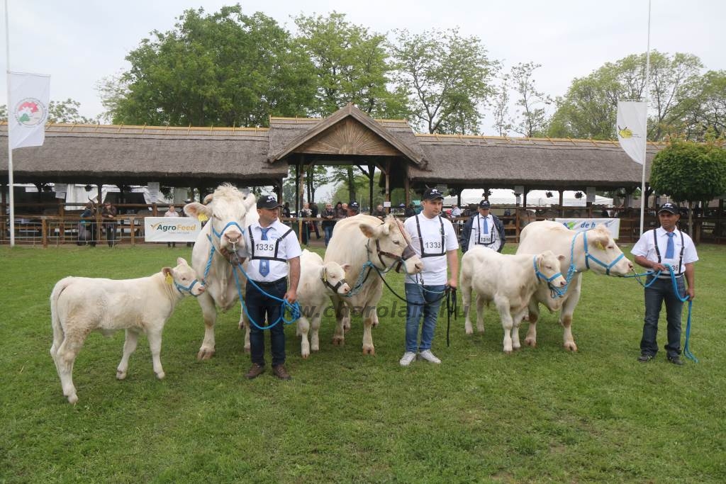 Hódmezővásárhely 2019