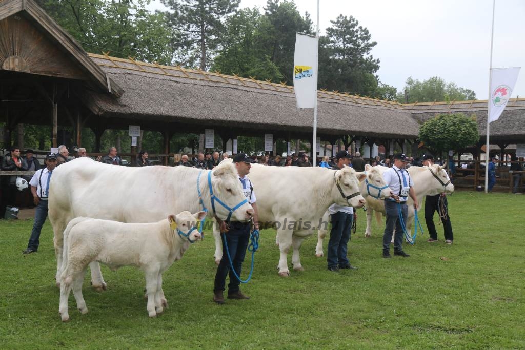 Hódmezővásárhely 2019