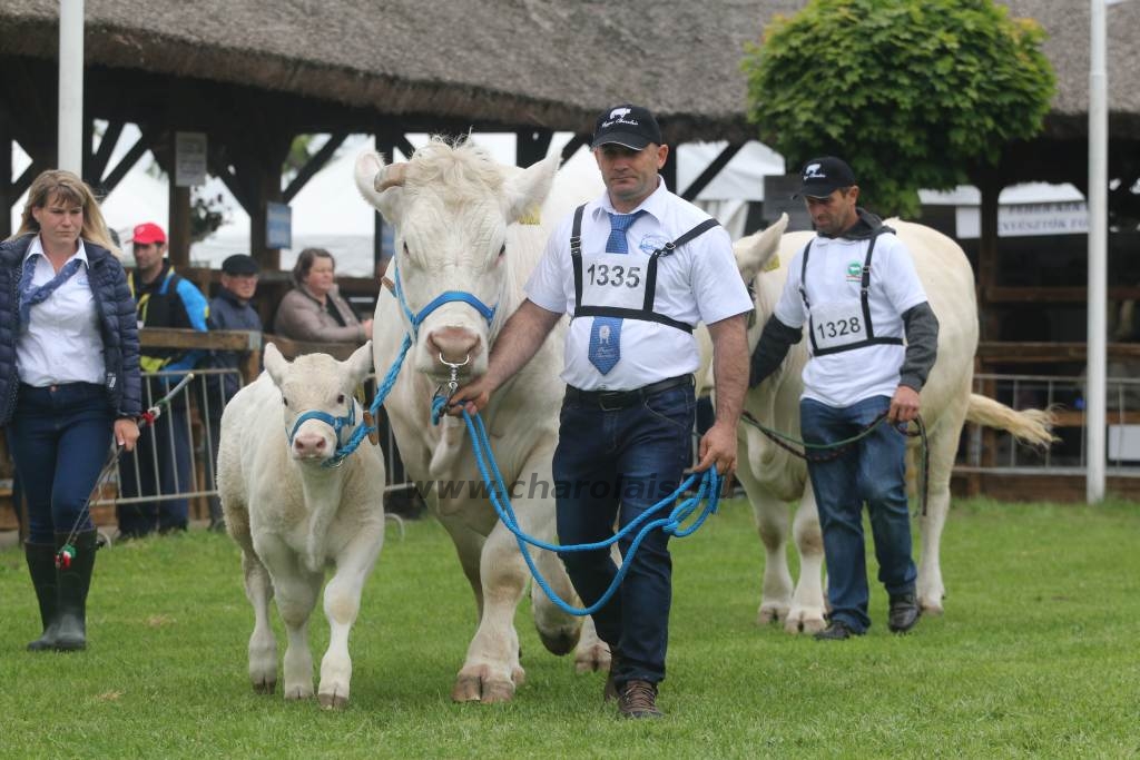 Hódmezővásárhely 2019