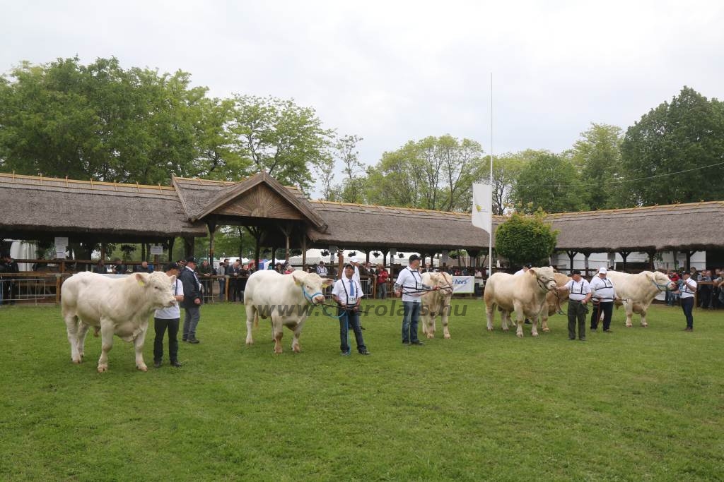 Hódmezővásárhely 2019