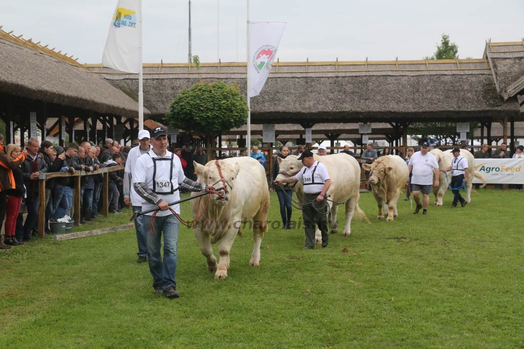 Hódmezővásárhely 2019