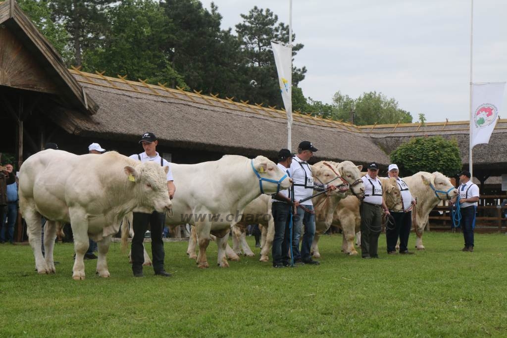 Hódmezővásárhely 2019