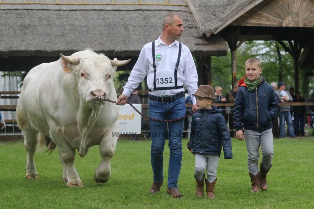 Hódmezővásárhely 2019