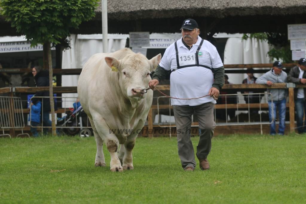 Hódmezővásárhely 2019