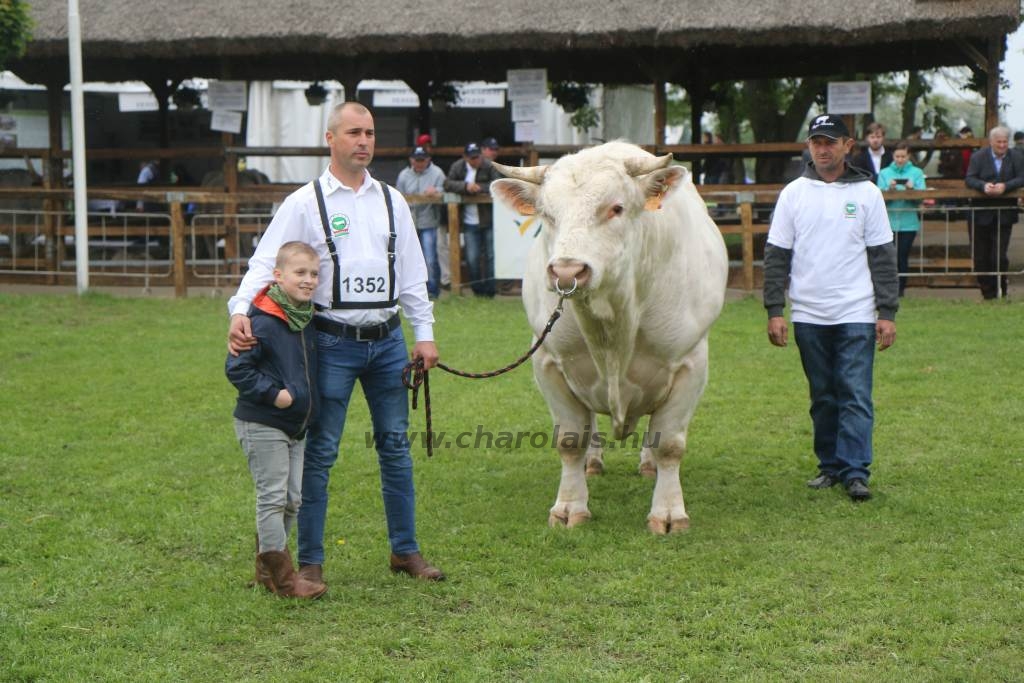 Hódmezővásárhely 2019