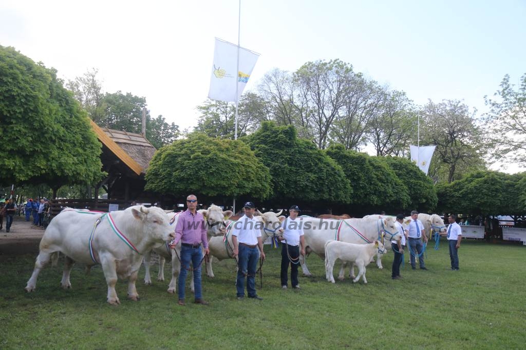 Hódmezővásárhely 2019