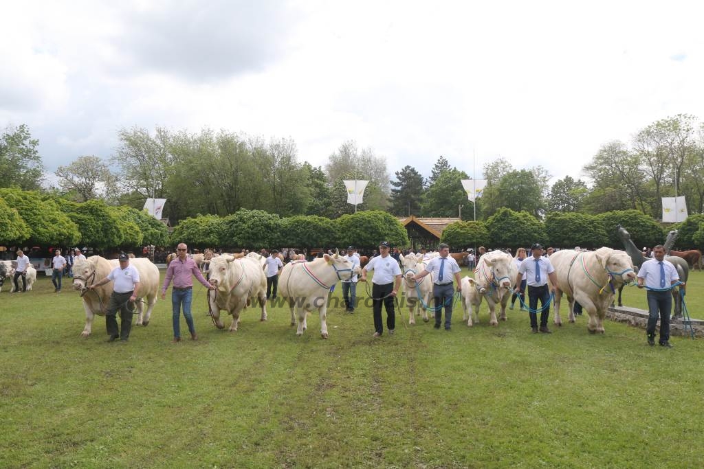 Hódmezővásárhely 2019