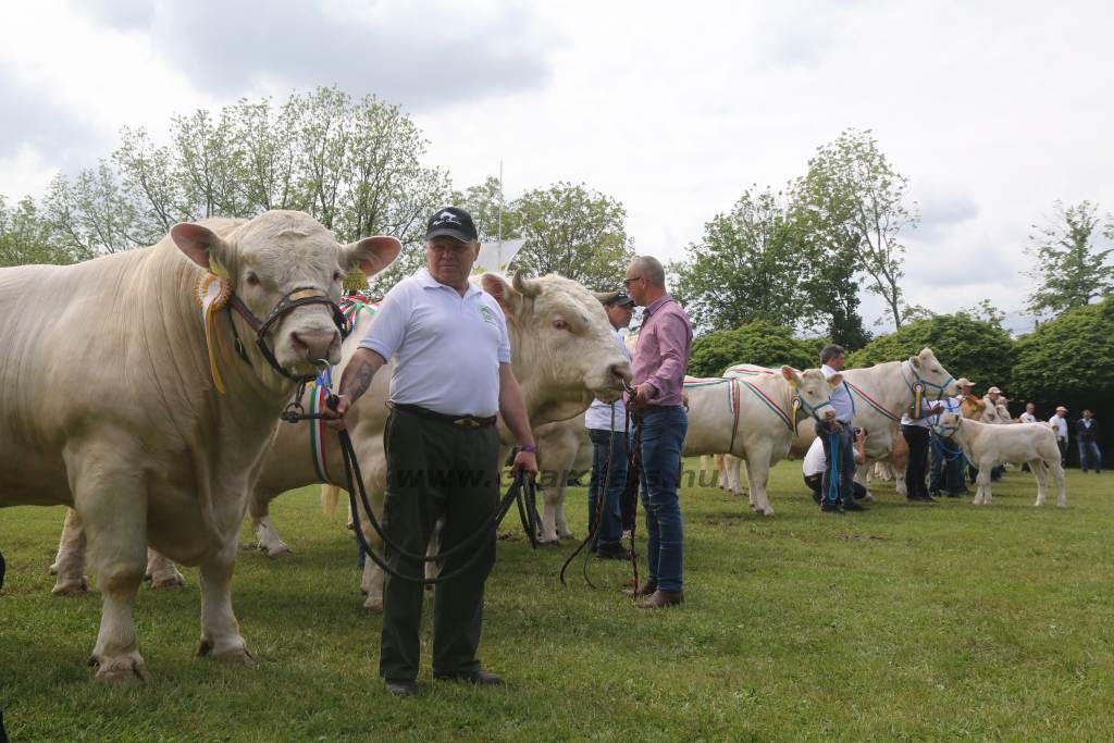 Hódmezővásárhely 2019