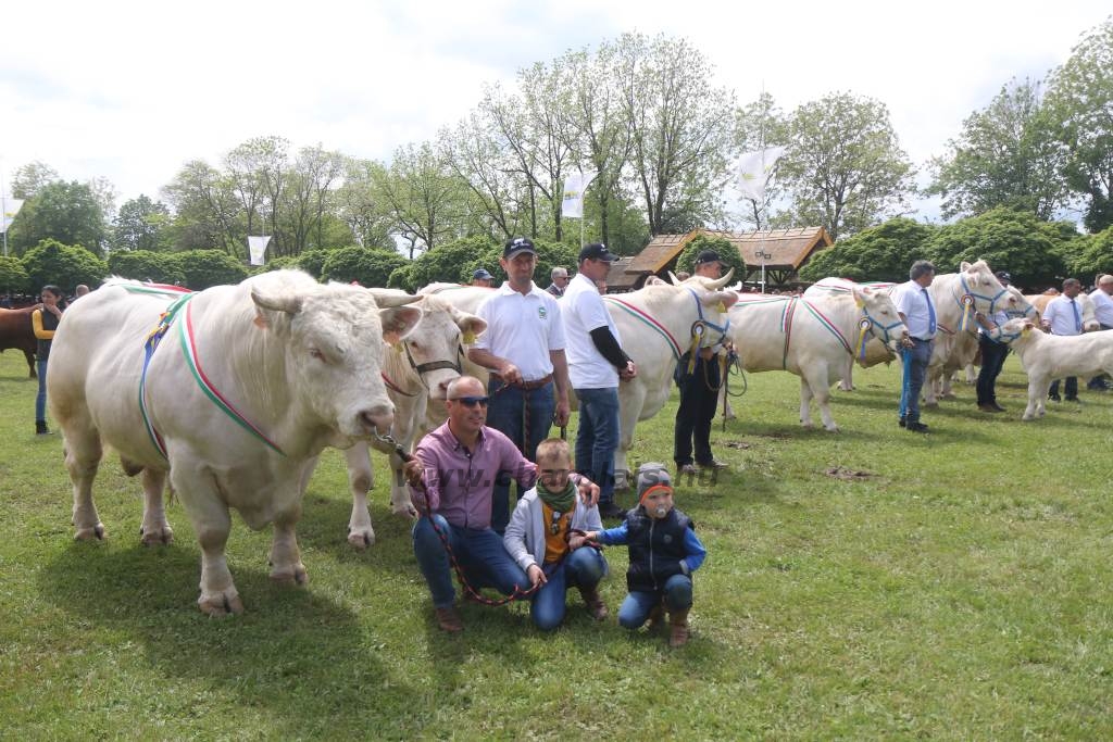 Hódmezővásárhely 2019