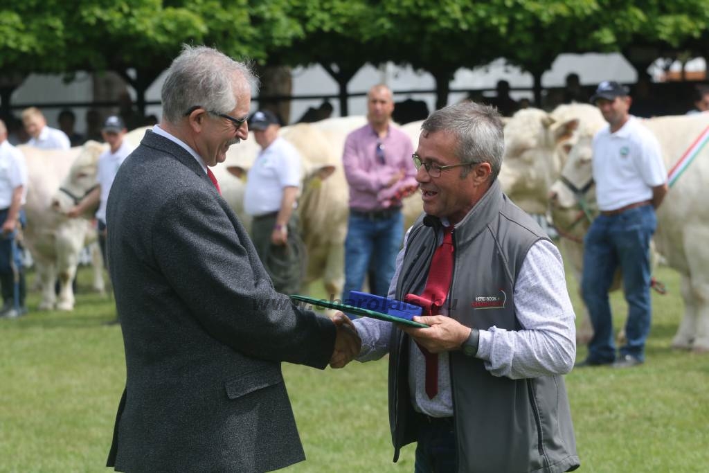 Hódmezővásárhely 2019