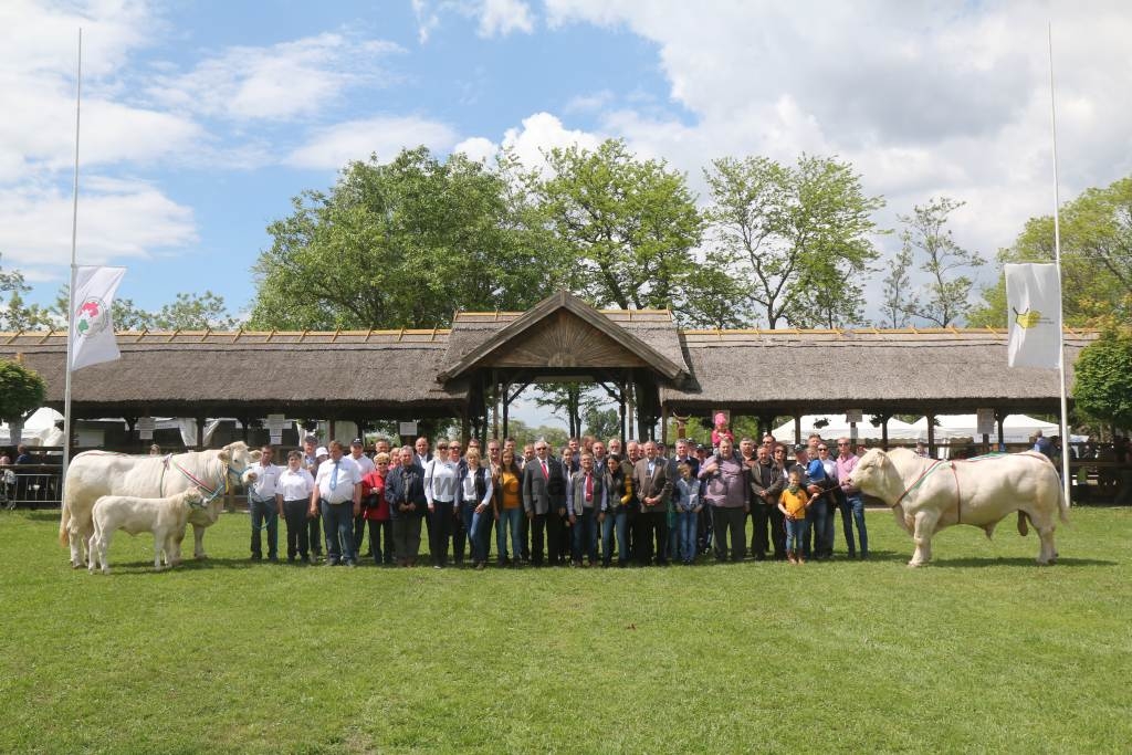 Hódmezővásárhely 2019