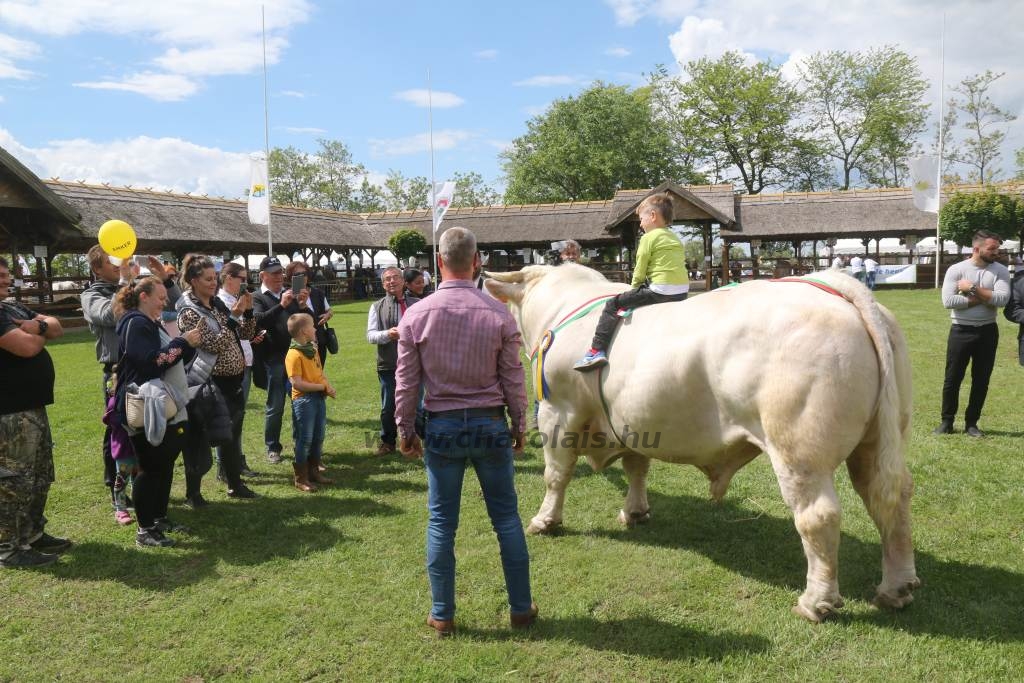 Hódmezővásárhely 2019