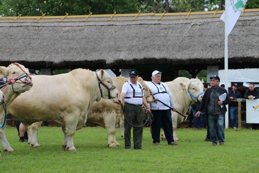 Hódmezővásárhely 2019