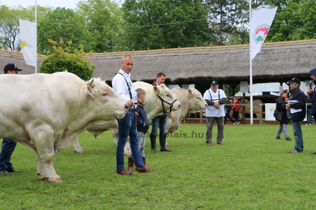 Hódmezővásárhely 2019