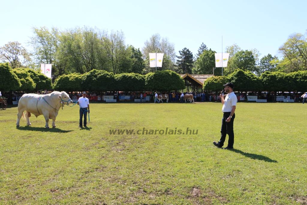 Hódmezővásárhely 2019