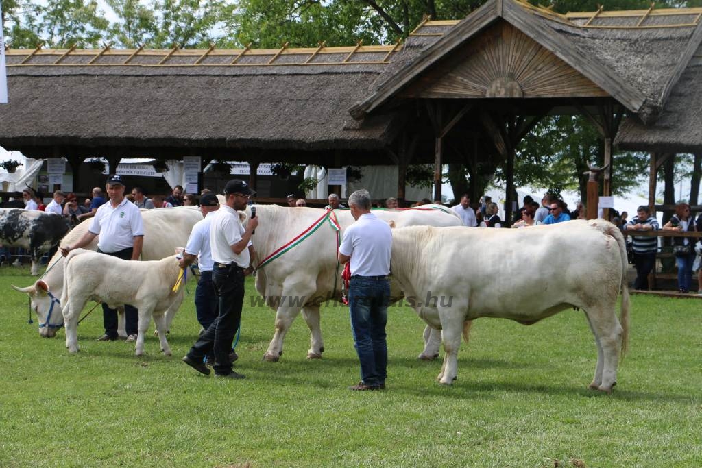 Hódmezővásárhely 2019