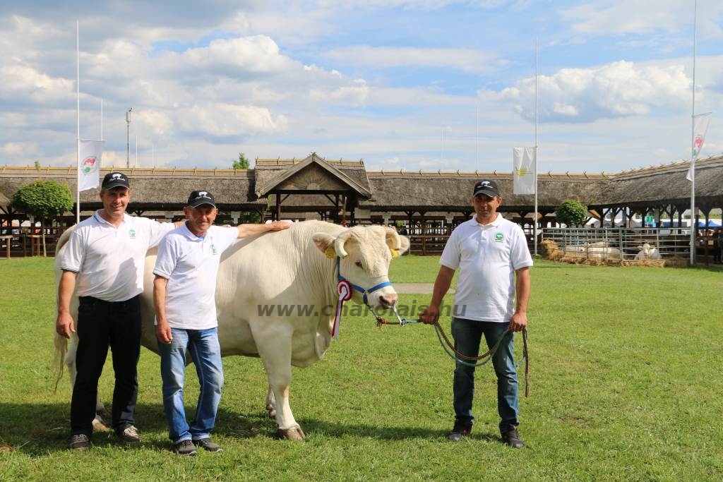 Hódmezővásárhely 2019