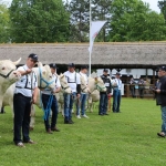 Hódmezővásárhely 2019