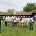 Hódmezővásárhely 2019