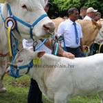 Hódmezővásárhely 2019