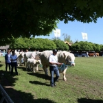 Hódmezővásárhely 2019