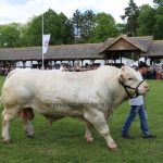 Hódmezővásárhely 2019