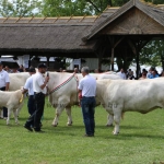 Hódmezővásárhely 2019