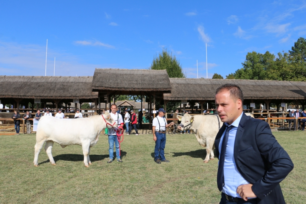 Hódmezővásárhely 2021